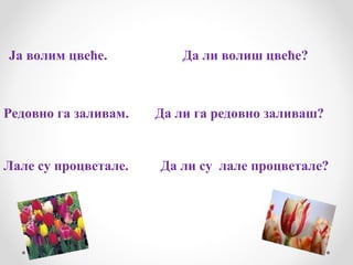 Ја волим цвеће.           Да ли волиш цвеће?



Редовно га заливам.   Да ли га редовно заливаш?


Лале су процветале.   Да ли су лале процветале?
 