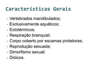 •   Vertebrados mandibulados;
•   Exclusivamente aquáticos;
•   Ectotérmicos;
•   Respiração branquial;
•   Corpo coberto por escamas protetoras;
•   Reprodução sexuada;
•   Dimorfismo sexual;
•   Dióicos.
 