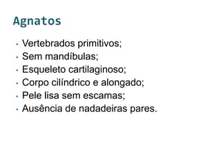 •   Vertebrados primitivos;
•   Sem mandíbulas;
•   Esqueleto cartilaginoso;
•   Corpo cilíndrico e alongado;
•   Pele lisa sem escamas;
•   Ausência de nadadeiras pares.
 