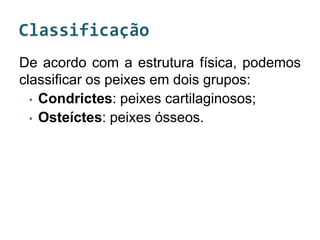 De acordo com a estrutura física, podemos
classificar os peixes em dois grupos:
  • Condrictes: peixes cartilaginosos;
  • Osteíctes: peixes ósseos.
 