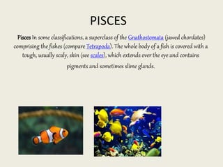 Pisces | PPTX