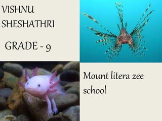 VISHNU
SHESHATHRI
GRADE - 9
Mount litera zee
school
 