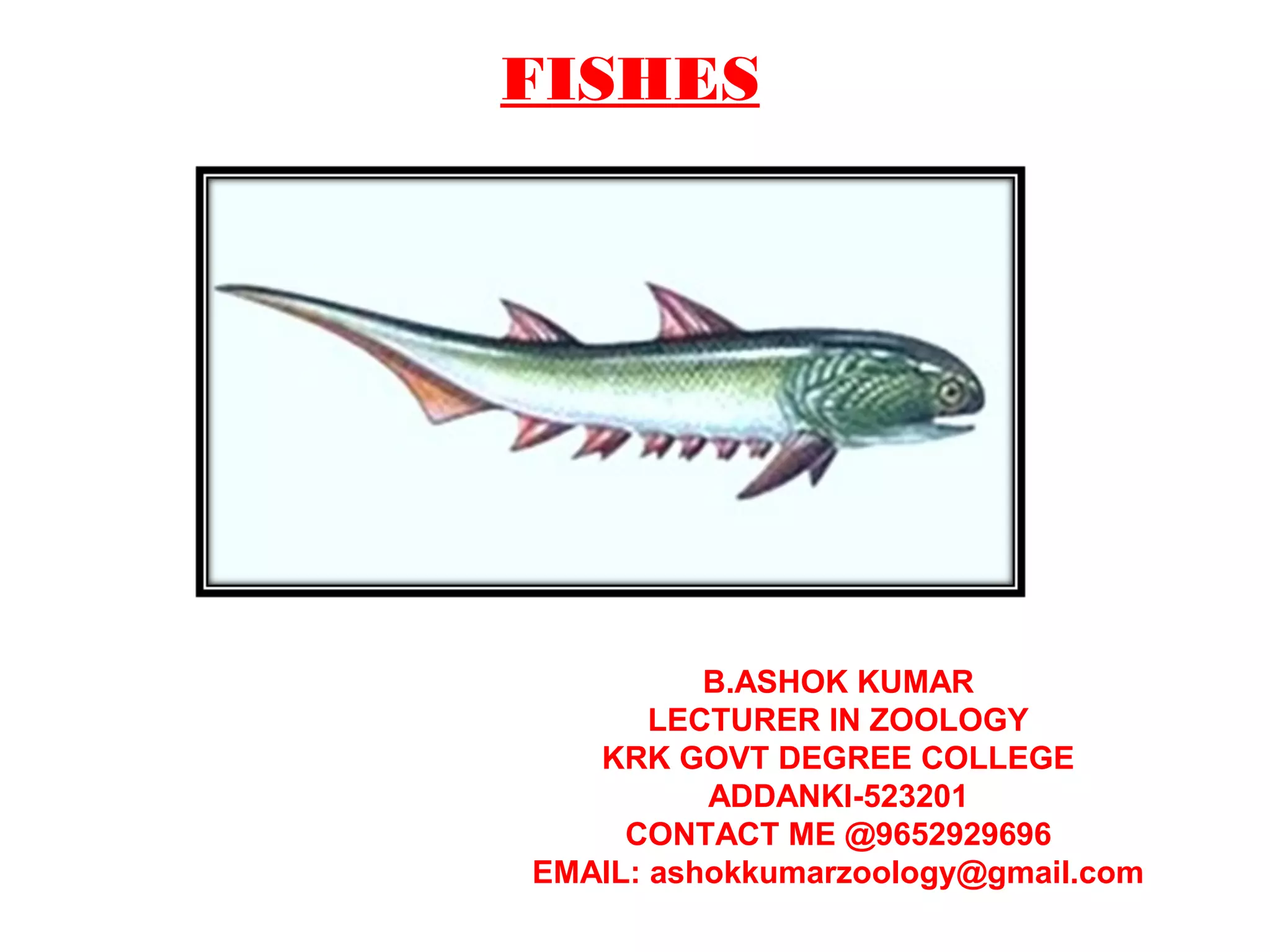 FISHES
B.ASHOK KUMAR
LECTURER IN ZOOLOGY
KRK GOVT DEGREE COLLEGE
ADDANKI-523201
CONTACT ME @9652929696
EMAIL: ashokkumarzoology@gmail.com
 