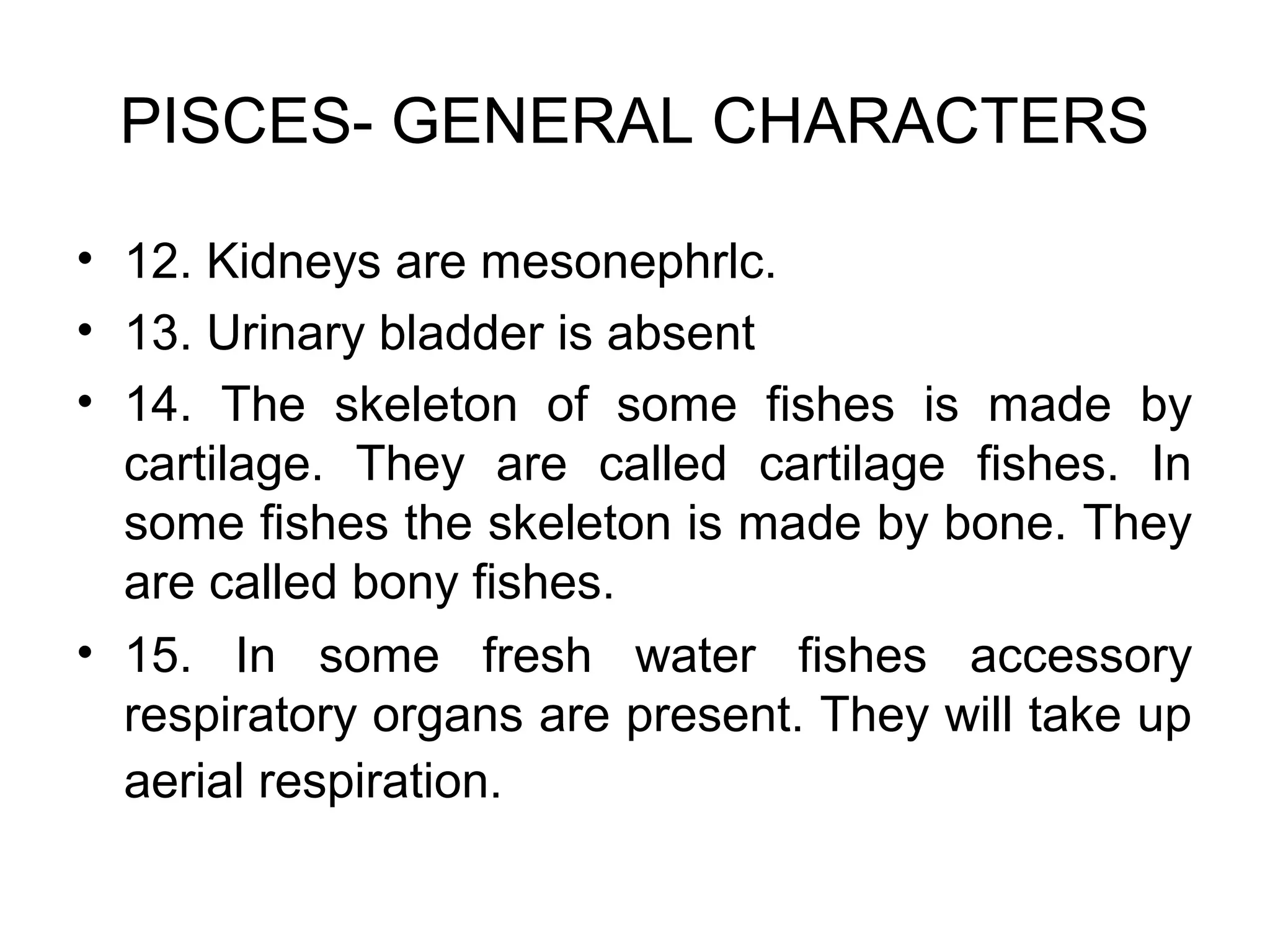 PISCES- GENERAL CHARACTERS
• 12. Kidneys are mesonephrlc.
• 13. Urinary bladder is absent
• 14. The skeleton of some fishes is made by
cartilage. They are called cartilage fishes. In
some fishes the skeleton is made by bone. They
are called bony fishes.
• 15. In some fresh water fishes accessory
respiratory organs are present. They will take up
aerial respiration.
 