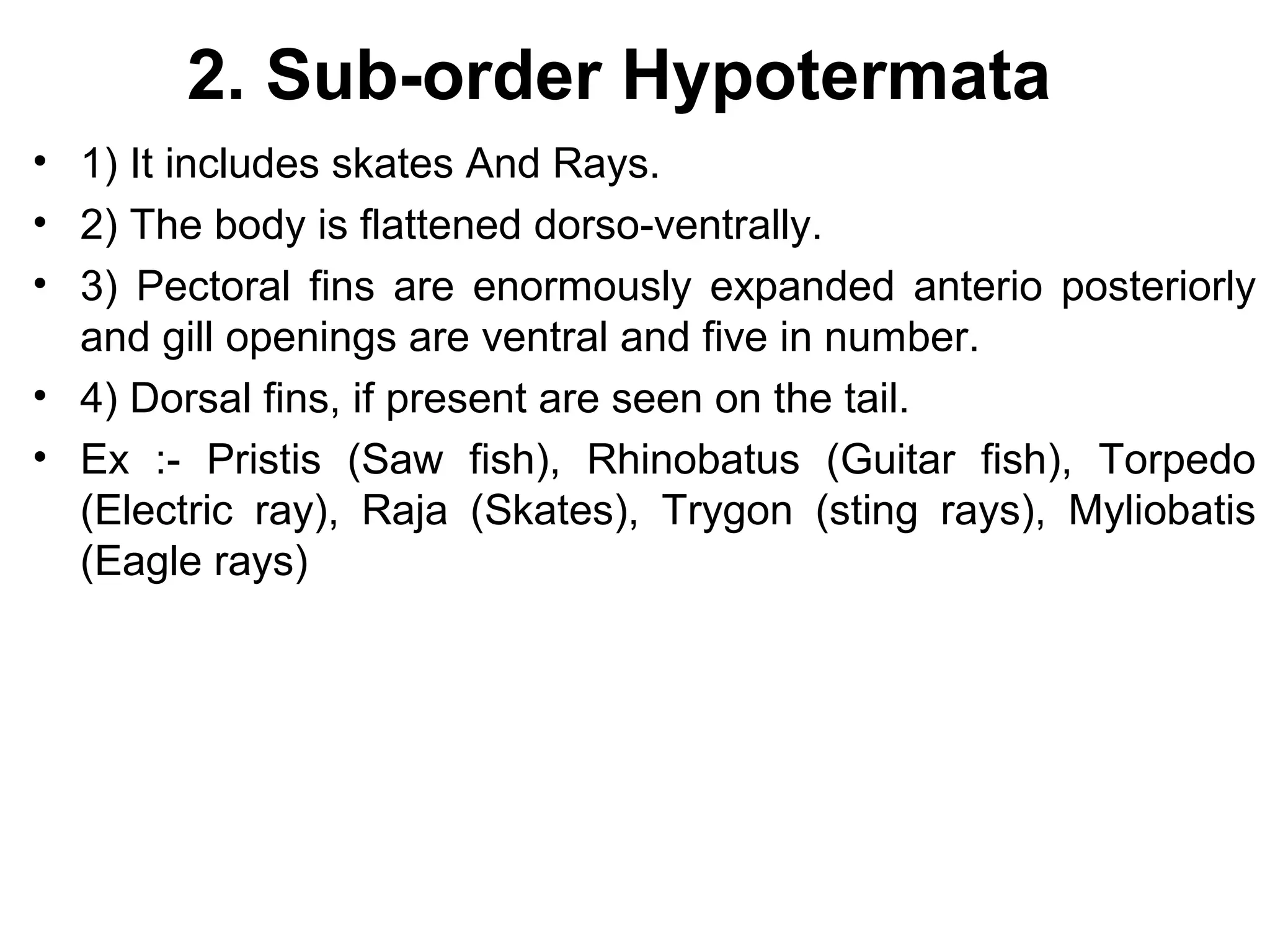 2. Sub-order Hypotermata
• 1) It includes skates And Rays.
• 2) The body is flattened dorso-ventrally.
• 3) Pectoral fins are enormously expanded anterio posteriorly
and gill openings are ventral and five in number.
• 4) Dorsal fins, if present are seen on the tail.
• Ex :- Pristis (Saw fish), Rhinobatus (Guitar fish), Torpedo
(Electric ray), Raja (Skates), Trygon (sting rays), Myliobatis
(Eagle rays)
 
