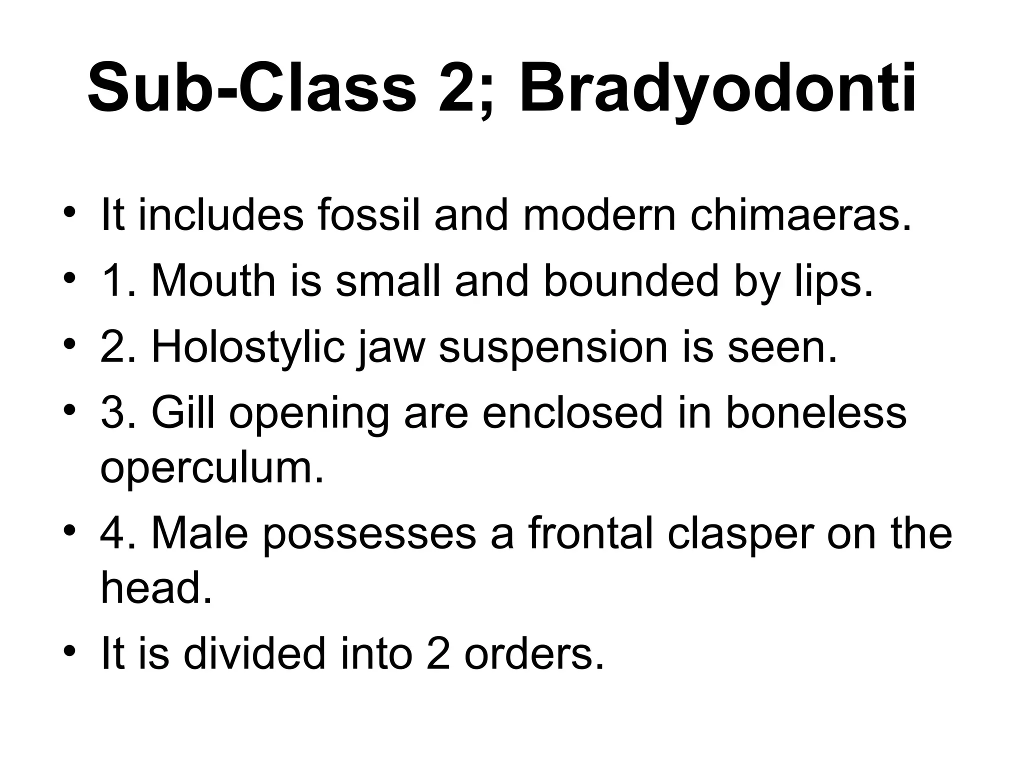 Sub-Class 2; Bradyodonti
• It includes fossil and modern chimaeras.
• 1. Mouth is small and bounded by lips.
• 2. Holostylic jaw suspension is seen.
• 3. Gill opening are enclosed in boneless
operculum.
• 4. Male possesses a frontal clasper on the
head.
• It is divided into 2 orders.
 