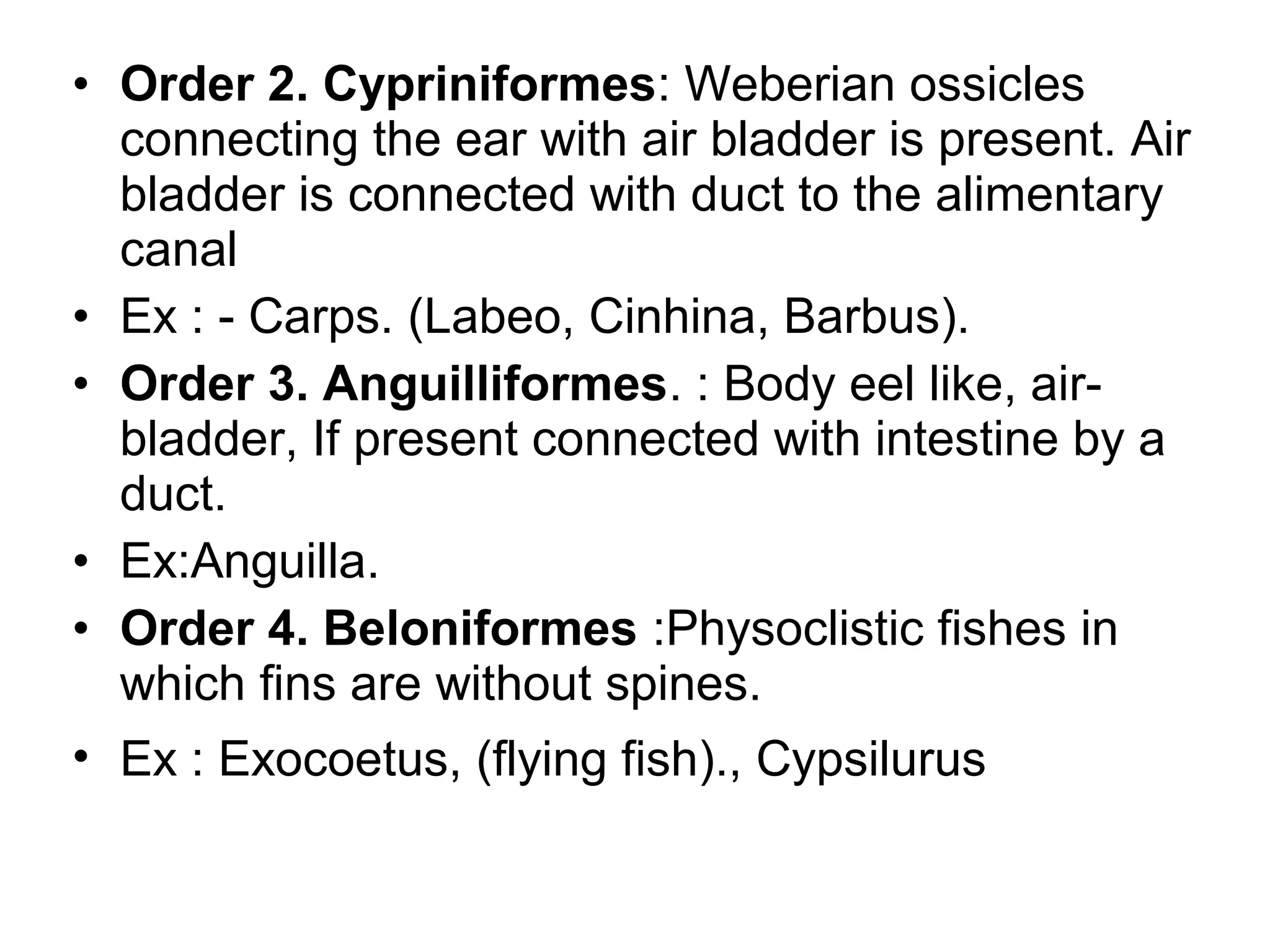 • Order 2. Cypriniformes: Weberian ossicles
connecting the ear with air bladder is present. Air
bladder is connected with duct to the alimentary
canal
• Ex : - Carps. (Labeo, Cinhina, Barbus).
• Order 3. Anguilliformes. : Body eel like, air-
bladder, If present connected with intestine by a
duct.
• Ex:Anguilla.
• Order 4. Beloniformes :Physoclistic fishes in
which fins are without spines.
• Ex : Exocoetus, (flying fish)., Cypsilurus
 