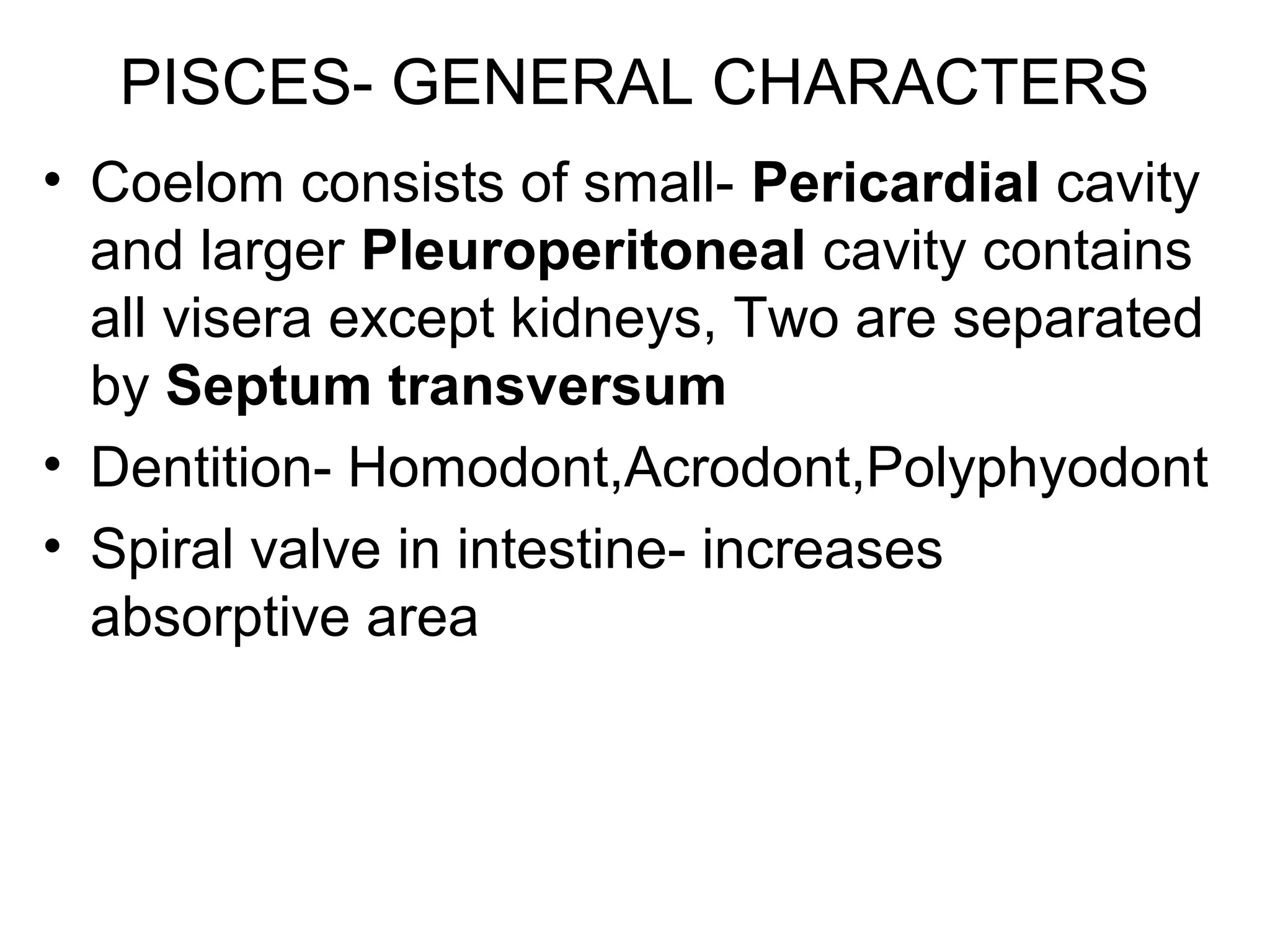PISCES- GENERAL CHARACTERS
• Coelom consists of small- Pericardial cavity
and larger Pleuroperitoneal cavity contains
all visera except kidneys, Two are separated
by Septum transversum
• Dentition- Homodont,Acrodont,Polyphyodont
• Spiral valve in intestine- increases
absorptive area
 