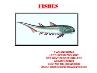 FISHES
B.ASHOK KUMAR
LECTURER IN ZOOLOGY
KRK GOVT DEGREE COLLEGE
ADDANKI-523201
CONTACT ME @9652929696
EMAIL: ashokkumarzoology@gmail.com
 