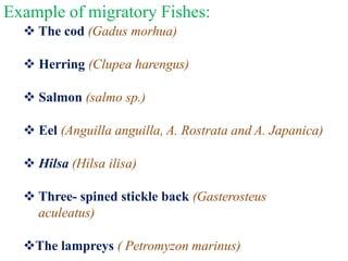 Locomotion in fishes has been classified into three types: Anguilliform ...
