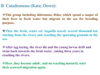 Locomotion in fishes has been classified into three types: Anguilliform ...
