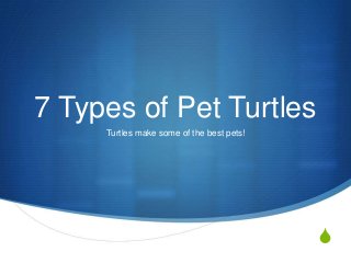 S
7 Types of Pet Turtles
Turtles make some of the best pets!
 