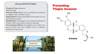 Preventing
Tilapia invasion
 