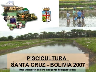 PISCICULTURA  SANTA CRUZ - BOLIVIA 2007 http://emprendedoremergente.blogspot.com 