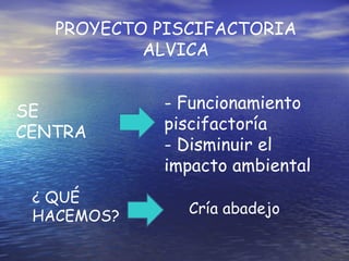 PROYECTO PISCIFACTORIA
           ALVICA


SE          - Funcionamiento
CENTRA      piscifactoría
            - Disminuir el
            impacto ambiental
 ¿ QUÉ
 HACEMOS?      Cría abadejo
 