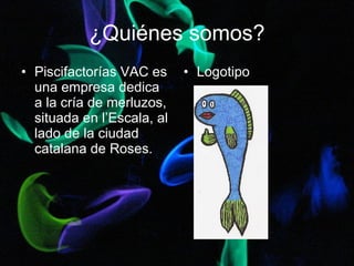 ¿Quiénes somos? Piscifactorías VAC es una empresa dedica a la cría de merluzos, situada en l’Escala, al lado de la ciudad catalana de Roses. Logotipo 