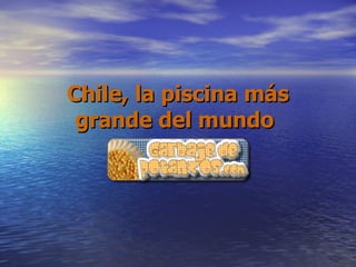 Chile, la piscina más grande del mundo   