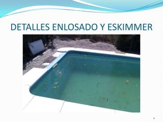 DETALLES ENLOSADO Y ESKIMMER




                               11
 