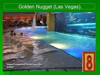 Golden Nugget (Las Vegas).
 