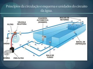 Princípiosdacirculaçãoeesquemaeunidadesdocircuito
daágua.
 