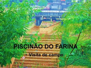 Piscinão de sb campo   farina