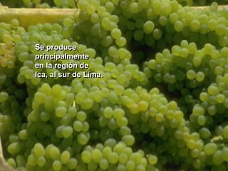 Se produceprincipalmenteen la región de Ica, al sur de Lima.