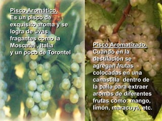 Pisco Aromático.Es un pisco de exquisito aroma y se logra de uvas fragantes como la Moscatel , Italia y un poco de TorontelPisco Aromatizado.Cuando en la destilación se agregan frutas colocadas en unacanastilla dentro dela paila para extraeraromas de diferentesfrutas como: mango,limón, maracuyá, etc.
