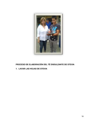 PROCESO DE ELABORACIÓN DEL TÉ ENDULZANTE DE STEVIA
1. LAVAR LAS HOJAS DE STEVIA

56

 