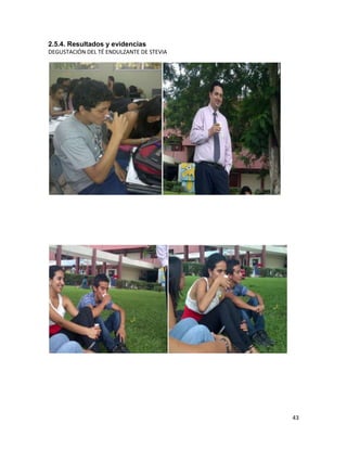 2.5.4. Resultados y evidencias
DEGUSTACIÓN DEL TÉ ENDULZANTE DE STEVIA

43

 