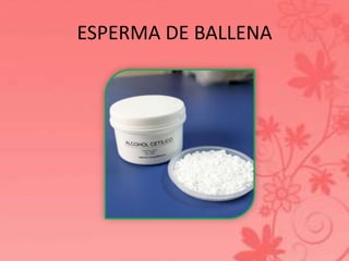 ESPERMA DE BALLENA 
 