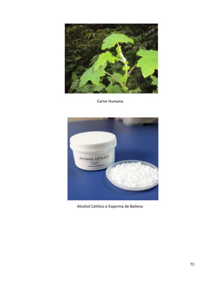 72 
Carne Humana 
Alcohol Cetilico o Esperma de Ballena 
 