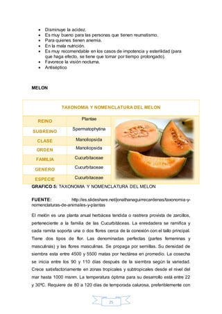  Disminuye la acidez. 
 Es muy bueno para las personas que tienen reumatismo. 
 Para quienes tienen anemia. 
 En la mala nutrición. 
 Es muy recomendable en los casos de impotencia y esterilidad (para 
que haga efecto, se tiene que tomar por tiempo prolongado). 
TAXONOMIA Y NOMENCLATURA DEL MELON 
25 
 Favorece la visión nocturna. 
 Antiséptico 
MELON 
REINO 
Plantae 
SUBREINO 
Spermatophytina 
CLASE Manoliopsida 
ORDEN Manoliopsida 
FAMILIA Cucurbitaceae 
GENERO 
Cucurbitaceae 
ESPECIE Cucurbitaceae 
GRAFICO 5: TAXONOMIA Y NOMENCLATURA DEL MELON 
FUENTE: http://es.slideshare.net/jonathanaguirrecardenas/taxonomia-y-nomenclaturas- 
de-animales-y-plantas 
El melón es una planta anual herbácea tendida o rastrera provista de zarcillos, 
perteneciente a la familia de las Cucurbitáceas. La enredadera se ramifica y 
cada ramita soporta una o dos flores cerca de la conexión con el tallo principal. 
Tiene dos tipos de flor. Las denominadas perfectas (partes femeninas y 
masculinas) y las flores masculinas. Se propaga por semillas. Su densidad de 
siembra esta entre 4500 y 5500 matas por hectárea en promedio. La cosecha 
se inicia entre los 90 y 110 días después de la siembra según la variedad. 
Crece satisfactoriamente en zonas tropicales y subtropicales desde el nivel del 
mar hasta 1000 msnm. La temperatura óptima para su desarrollo está entre 22 
y 30ºC. Requiere de 80 a 120 días de temporada calurosa, preferiblemente con 
 