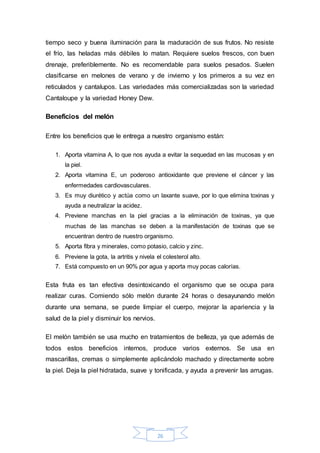 tiempo seco y buena iluminación para la maduración de sus frutos. No resiste 
el frío, las heladas más débiles lo matan. Requiere suelos frescos, con buen 
drenaje, preferiblemente. No es recomendable para suelos pesados. Suelen 
clasificarse en melones de verano y de invierno y los primeros a su vez en 
reticulados y cantalupos. Las variedades más comercializadas son la variedad 
Cantaloupe y la variedad Honey Dew. 
26 
Beneficios del melón 
Entre los beneficios que le entrega a nuestro organismo están: 
1. Aporta vitamina A, lo que nos ayuda a evitar la sequedad en las mucosas y en 
la piel. 
2. Aporta vitamina E, un poderoso antioxidante que previene el cáncer y las 
enfermedades cardiovasculares. 
3. Es muy diurético y actúa como un laxante suave, por lo que elimina toxinas y 
ayuda a neutralizar la acidez. 
4. Previene manchas en la piel gracias a la eliminación de toxinas, ya que 
muchas de las manchas se deben a la manifestación de toxinas que se 
encuentran dentro de nuestro organismo. 
5. Aporta fibra y minerales, como potasio, calcio y zinc. 
6. Previene la gota, la artritis y nivela el colesterol alto. 
7. Está compuesto en un 90% por agua y aporta muy pocas calorías. 
Esta fruta es tan efectiva desintoxicando el organismo que se ocupa para 
realizar curas. Comiendo sólo melón durante 24 horas o desayunando melón 
durante una semana, se puede limpiar el cuerpo, mejorar la apariencia y la 
salud de la piel y disminuir los nervios. 
El melón también se usa mucho en tratamientos de belleza, ya que además de 
todos estos beneficios internos, produce varios externos. Se usa en 
mascarillas, cremas o simplemente aplicándolo machado y directamente sobre 
la piel. Deja la piel hidratada, suave y tonificada, y ayuda a prevenir las arrugas. 
 