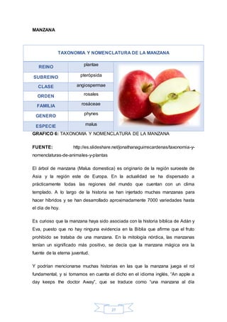TAXONOMIA Y NOMENCLATURA DE LA MANZANA 
27 
MANZANA 
REINO 
plantae 
SUBREINO pterópsida 
CLASE angiospermae 
ORDEN rosales 
FAMILIA rosáceae 
GENERO 
phynes 
ESPECIE malus 
GRAFICO 6: TAXONOMIA Y NOMENCLATURA DE LA MANZANA 
FUENTE: http://es.slideshare.net/jonathanaguirrecardenas/taxonomia-y-nomenclaturas- 
de-animales-y-plantas 
El árbol de manzana (Malus domestica) es originario de la región suroeste de 
Asia y la región este de Europa. En la actualidad se ha dispersado a 
prácticamente todas las regiones del mundo que cuentan con un clima 
templado. A lo largo de la historia se han injertado muchas manzanas para 
hacer híbridos y se han desarrollado aproximadamente 7000 variedades hasta 
el día de hoy. 
Es curioso que la manzana haya sido asociada con la historia bíblica de Adán y 
Eva, puesto que no hay ninguna evidencia en la Biblia que afirme que el fruto 
prohibido se trataba de una manzana. En la mitología nórdica, las manzanas 
tenían un significado más positivo, se decía que la manzana mágica era la 
fuente de la eterna juventud. 
Y podrían mencionarse muchas historias en las que la manzana juega el rol 
fundamental, y si tomamos en cuenta el dicho en el idioma inglés, “An apple a 
day keeps the doctor Away”, que se traduce como “una manzana al día 
 