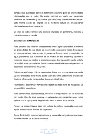 conocían sus cualidades como un tratamiento excelente para las enfermedades 
relacionadas con la mujer. Su aceite esencial es usado por numerosas 
industrias de cosméticos y perfumería, por su aroma y propiedades emolientes. 
Este mismo aceite se emplea en la medicina natural en preparaciones 
relacionadas con la aromaterapia. 
De ellas se extrae también una esencia empleada en perfumería, medicina y 
cosméticos para el cabello. 
32 
Beneficios de la Manzanilla 
Para preparar una infusión correctamente: Para lograr aprovechar al máximo 
las propiedades de esta planta se recomienda su consumo fresco. Se prepara 
en forma de té bien caliente, con 10 gramos de flores o ramas por cada litro de 
agua, procurando que la cocción de las hierbas no sea excesiva y tapando el 
recipiente donde se realice la preparación pues la evaporación puede restarle 
capacidad a sus propiedades. Se recomienda endulzarla con miel pues ambos 
sabores se complementan muy bien. 
Dolores de estómago, cólicos menstruales: Beber una taza de té de manzanilla 
y poner emplastos de la misma planta sobre el vientre. Esta misma preparación 
funciona eficazmente para expulsar los gases intestinales. 
Reumatismo, calambres y nerviosismo: Beber una taza de té de manzanilla. Es 
un ansiolítico maravilloso. 
Para calmar niños sobreexcitados, nerviosos o malgeniados: En un recipiente 
con medio litro de agua agregue 4 cucharaditas de manzanilla seca y deje 
reposar con la tapa puesta, luego de ello vierta la tisana en la bañera. 
Fiebre: La acelga triturada junto con corteza de malva y manzanilla es de gran 
ayuda en los estados febriles del organismo. 
Asma: En infusión, mezclar hierbabuena y manzanilla en iguales proporciones. 
Tomarla durante los accesos asmáticos. 
 