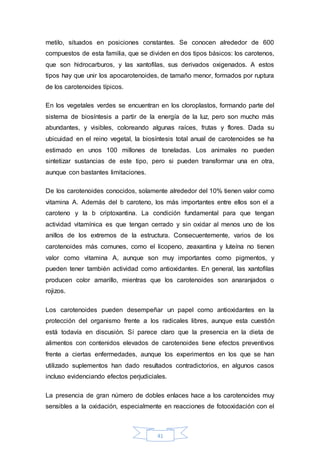 metilo, situados en posiciones constantes. Se conocen alrededor de 600 
compuestos de esta familia, que se dividen en dos tipos básicos: los carotenos, 
que son hidrocarburos, y las xantofilas, sus derivados oxigenados. A estos 
tipos hay que unir los apocarotenoides, de tamaño menor, formados por ruptura 
de los carotenoides típicos. 
En los vegetales verdes se encuentran en los cloroplastos, formando parte del 
sistema de biosíntesis a partir de la energía de la luz, pero son mucho más 
abundantes, y visibles, coloreando algunas raíces, frutas y flores. Dada su 
ubicuidad en el reino vegetal, la biosíntesis total anual de carotenoides se ha 
estimado en unos 100 millones de toneladas. Los animales no pueden 
sintetizar sustancias de este tipo, pero si pueden transformar una en otra, 
aunque con bastantes limitaciones. 
De los carotenoides conocidos, solamente alrededor del 10% tienen valor como 
vitamina A. Además del b caroteno, los más importantes entre ellos son el a 
caroteno y la b criptoxantina. La condición fundamental para que tengan 
actividad vitamínica es que tengan cerrado y sin oxidar al menos uno de los 
anillos de los extremos de la estructura. Consecuentemente, varios de los 
carotenoides más comunes, como el licopeno, zeaxantina y luteína no tienen 
valor como vitamina A, aunque son muy importantes como pigmentos, y 
pueden tener también actividad como antioxidantes. En general, las xantofilas 
producen color amarillo, mientras que los carotenoides son anaranjados o 
rojizos. 
Los carotenoides pueden desempeñar un papel como antioxidantes en la 
protección del organismo frente a los radicales libres, aunque esta cuestión 
está todavía en discusión. Sí parece claro que la presencia en la dieta de 
alimentos con contenidos elevados de carotenoides tiene efectos preventivos 
frente a ciertas enfermedades, aunque los experimentos en los que se han 
utilizado suplementos han dado resultados contradictorios, en algunos casos 
incluso evidenciando efectos perjudiciales. 
La presencia de gran número de dobles enlaces hace a los carotenoides muy 
sensibles a la oxidación, especialmente en reacciones de fotooxidación con el 
41 
 