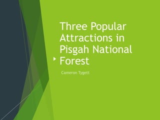 Three Popular
Attractions in
Pisgah National
Forest
 