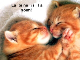 La bine  şi  la somn! 