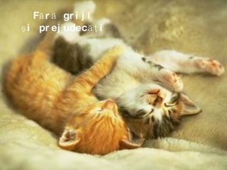 Fără griji şi prejudecăţi 