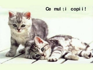 Ce mulţi copii! 