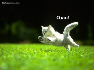Ouau! 