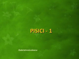 PISICI - 1 Gabrielvoiculescu 