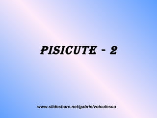 Pisicute - 2 www.slideshare.net/gabrielvoiculescu 
