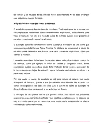 Página
28
los vómitos y las náuseas de los primeros meses del embarazo. No se debe prolongar
este tratamiento más de 2 meses.
Propiedades del eucalipto contra el resfriado
El eucalipto es una de las plantas más populares. Tradicionalmente se la conoce por
sus propiedades medicinales contra enfermedades respiratorias, especialmente para
tratar el resfriado. Por ello, si a menudo sufres de resfriado puedes tener presente al
eucalipto como remedio natural para tratarlo.
El eucalipto, conocido científicamente como Eucalyptus melliodora, es una planta que
se encuentra en toda Europa, Asia y América. No obstante su popularidad, la planta de
eucalipto posee beneficios terapéuticos para tratar problemas respiratorios, como por
ejemplo el resfriado.
Los aceites esenciales de las hojas de eucalipto logran reducir los síntomas propios de
los resfríos, como por ejemplo el dolor de cabeza y congestión nasal. Estas
propiedades puedes obtenerlas a través de la inhalación de los vapores, que surgen de
la decocción de sus hojas, la aplicación tópica del aceite derivado del eucalipto, o a
partir de su infusión.
Por otra parte, el aceite de eucalipto es útil para reducir el catarro, que suele
acompañar al resfriado, gracias a sus propiedades expectorantes. De acuerdo con
ciertas investigaciones las dosis de entre 0.05 a 0.2 ml de aceite de eucalipto ha
demostrado ser eficaz para reducir la tos y eliminar las flemas.
El eucalipto es una planta, con la que puedes contar, para reducir los problemas
respiratorios, especialmente el resfriado y sus posibles complicaciones. No obstante es
muy importante que tengas en cuenta que, esta planta puede presentar ciertos efectos
secundarios y contraindicaciones.
 