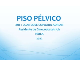 PISO PÉLVICO
MR 1 JUAN JOSE COPAJIRA ADRIAN
Residente de Ginecoobstetricia
HMLA
2022
 
