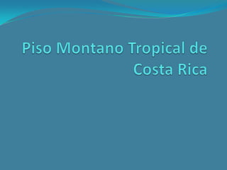Piso Montano Tropical de Costa Rica 