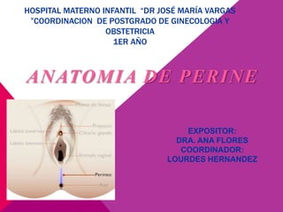 HOSPITAL MATERNO INFANTIL “DR JOSÉ MARÍA VARGAS
”COORDINACION DE POSTGRADO DE GINECOLOGIA Y
OBSTETRICIA
1ER AÑO
ANATOMIA DE PERINE
EXPOSITOR:
DRA. ANA FLORES
COORDINADOR:
LOURDES HERNANDEZ
 