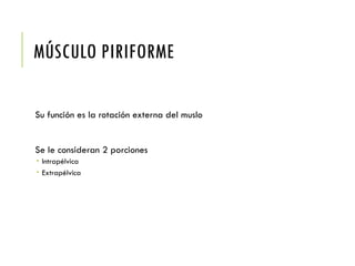 MÚSCULO PIRIFORME
Su función es la rotación externa del muslo
Se le consideran 2 porciones
 Intrapélvica
 Extrapélvica
 