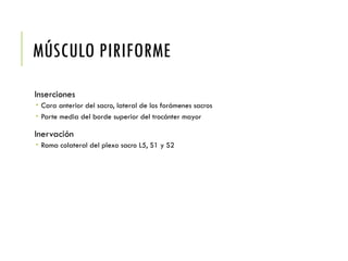 MÚSCULO PIRIFORME
Inserciones
 Cara anterior del sacro, lateral de los forámenes sacros
 Parte media del borde superior del trocánter mayor
Inervación
 Rama colateral del plexo sacro L5, S1 y S2
 