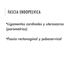FASCIA ENDOPELVICA
•Ligamentos cardinales y uterosacros
(parametrios)
•Fascia rectovaginal y pubocervical
 